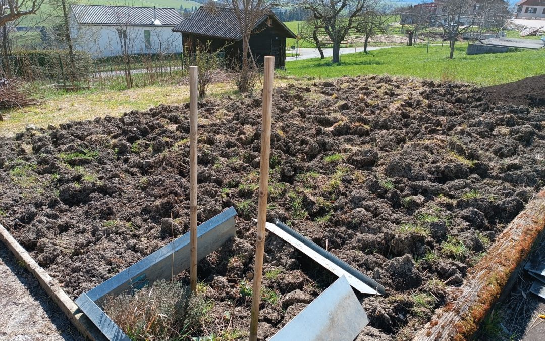 On s’occupe des plantes et on prépare le potager