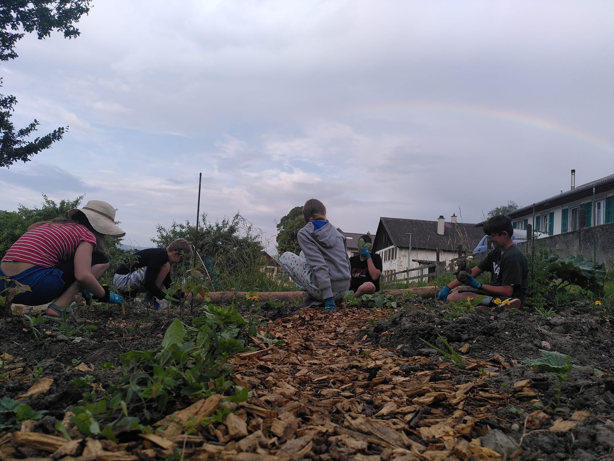 Des gens jardinent ensemble sous un ciel nuageux avec un arc-en-ciel en arrière-plan.
