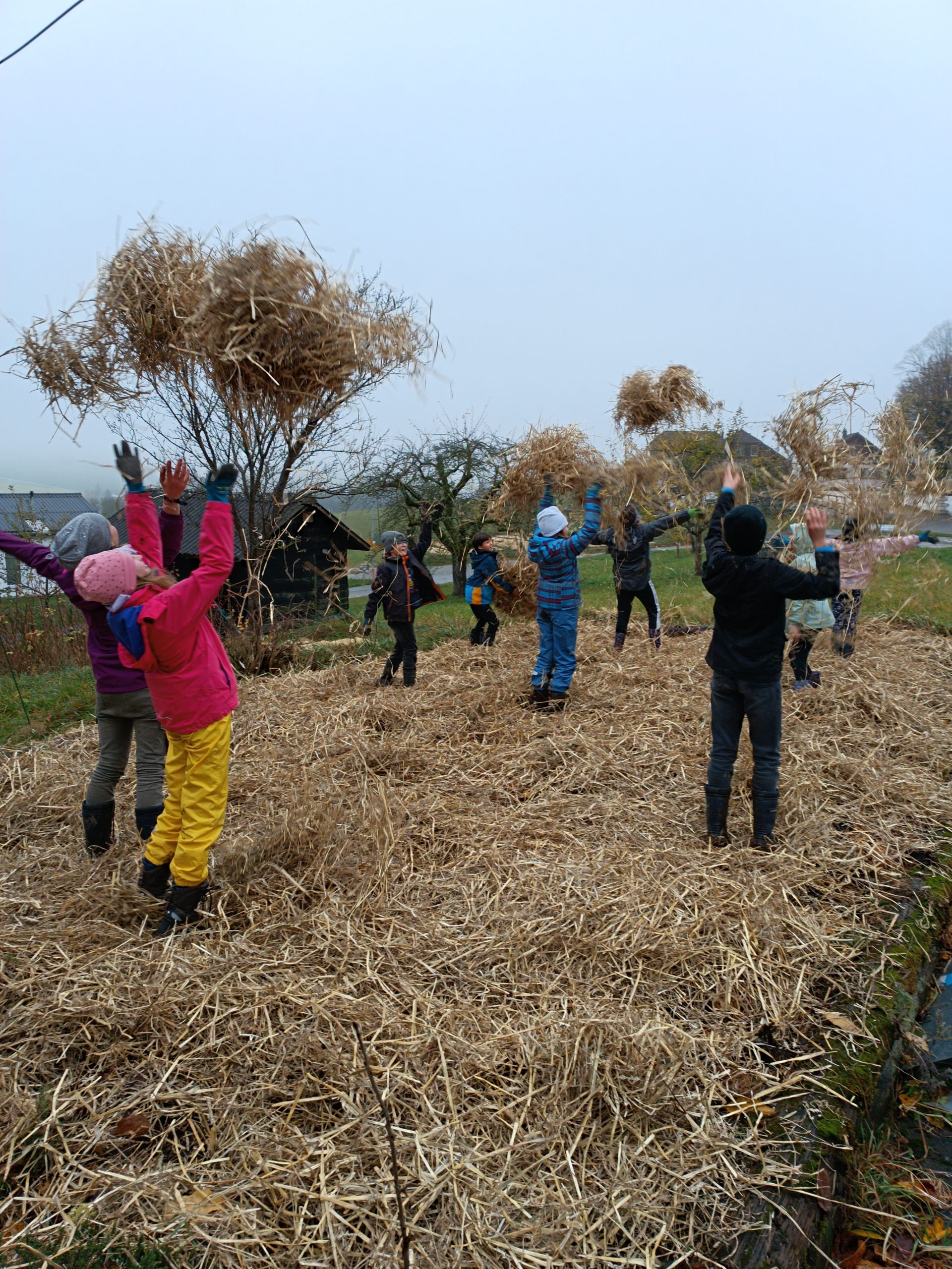 Préparation hivernale