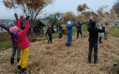 Préparation hivernale