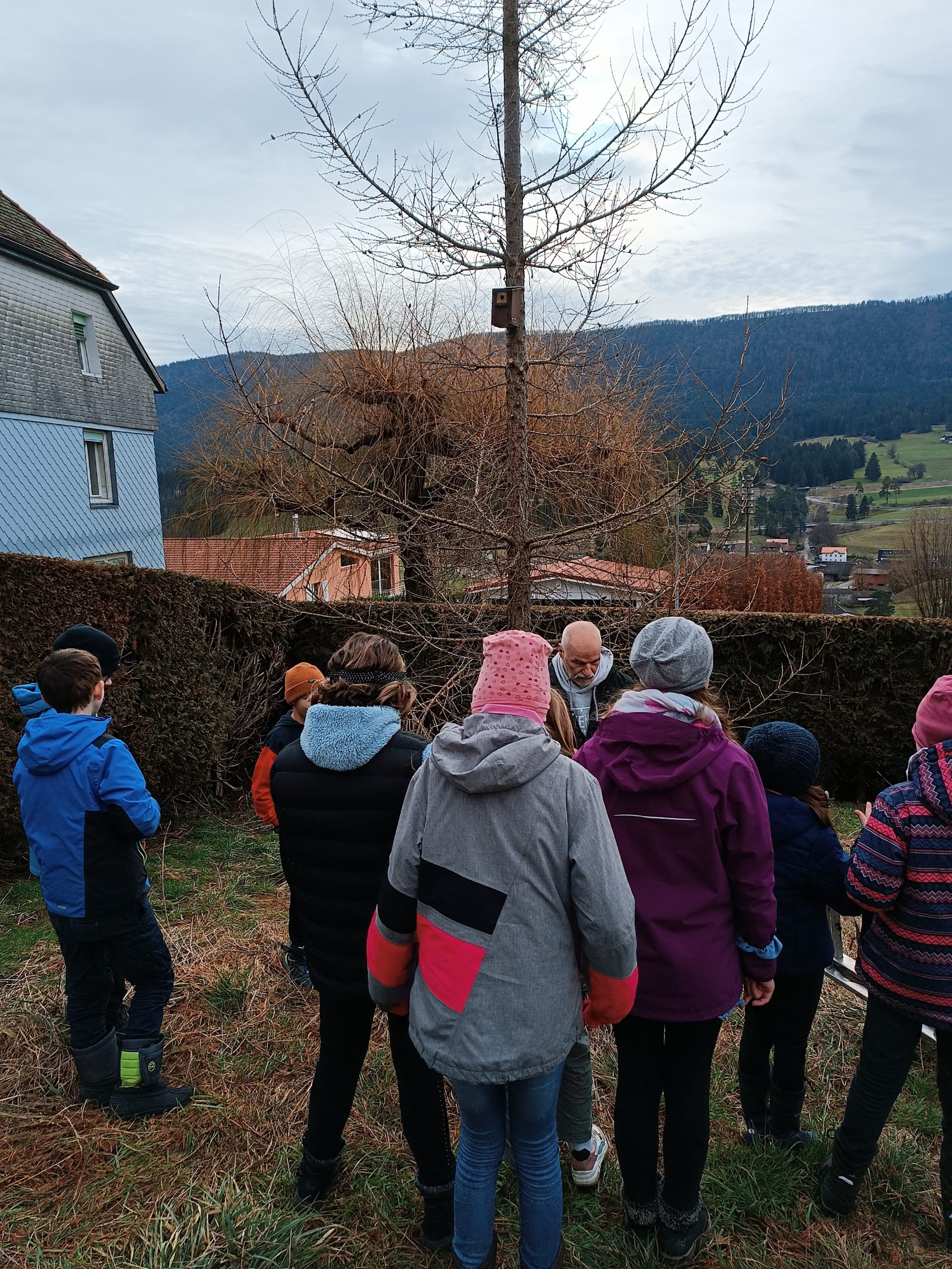 Installation de nichoirs et mangeoires pour les oiseaux au jardin